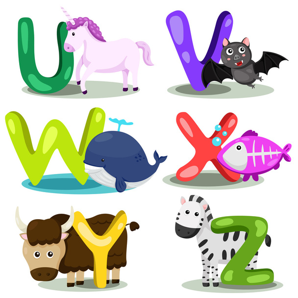 Ilustrador alfabeto animal CARTA - u, v, w, x, y, z
 - Vetor, Imagem