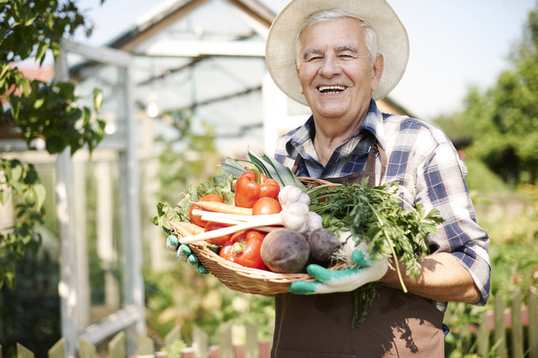 senior man with organic vegetables - Photo, Image