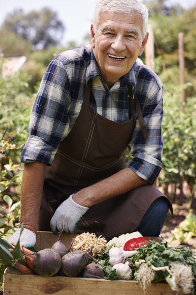senior man with organic vegetables - Фото, изображение