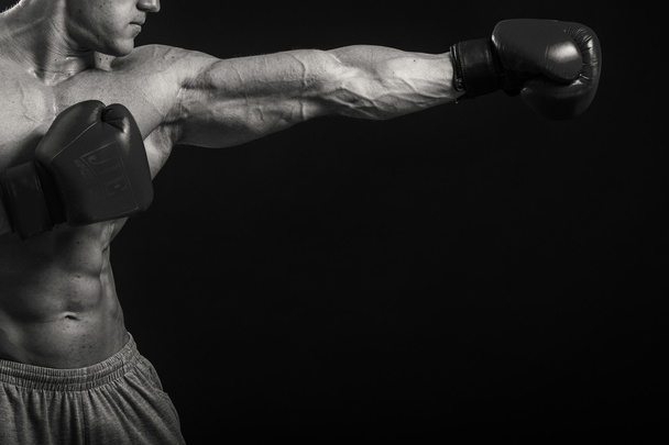 Boxer professionnel sur fond sombre
 - Photo, image