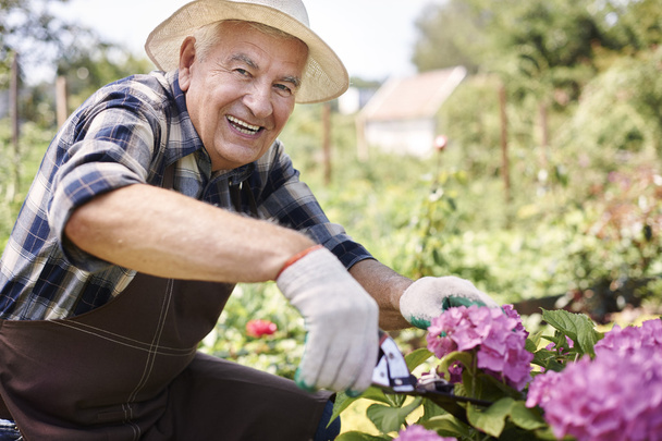 senior man working with flowers - Photo, Image
