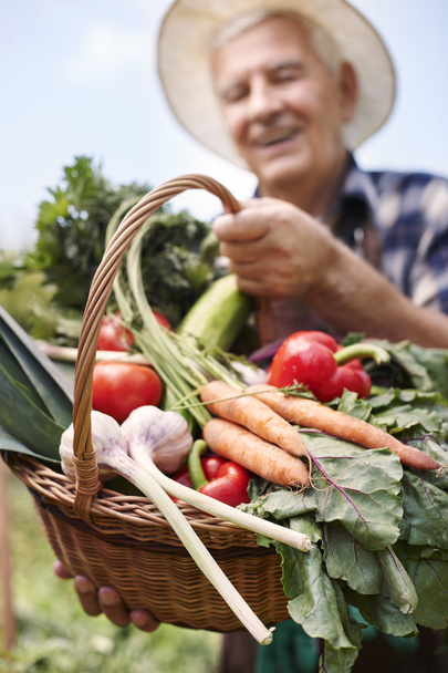 літній чоловік з органічними овочами
 - Фото, зображення