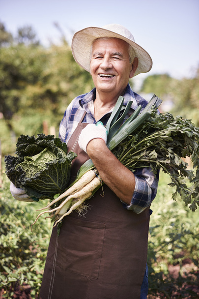 ηλικιωμένος άνδρας στο λαχανόκηπο - Φωτογραφία, εικόνα