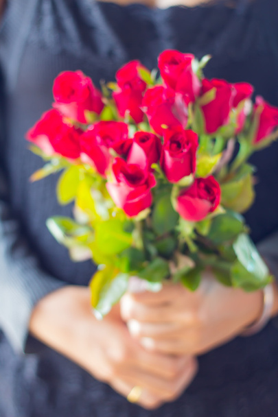 троянди
 - Фото, зображення