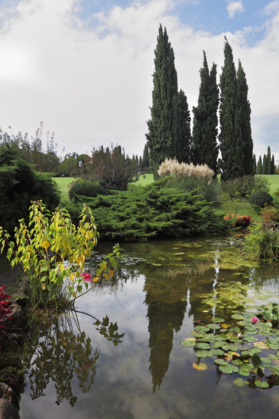 rybník, cypřiši a lily - Fotografie, Obrázek
