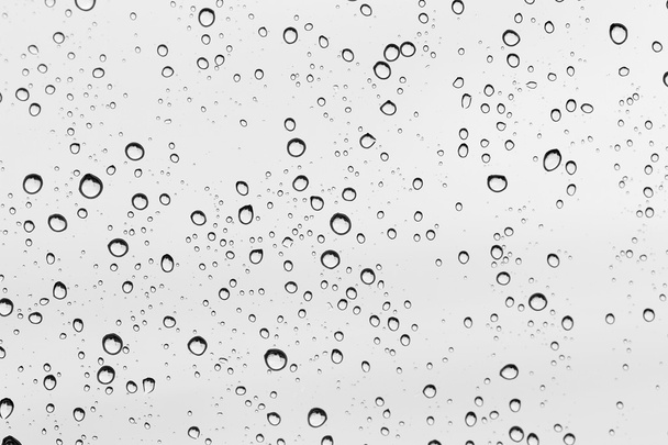 Water drop on glass mirror background. - Photo, Image