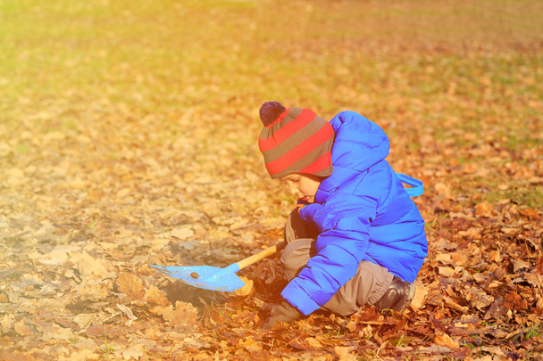 Kleiner Junge buddelt im Herbstpark - Foto, Bild