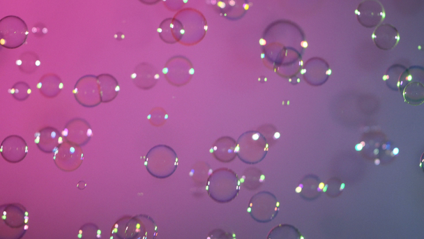 Blue and clear soap bubbles on pink and violet, background - Footage, Video