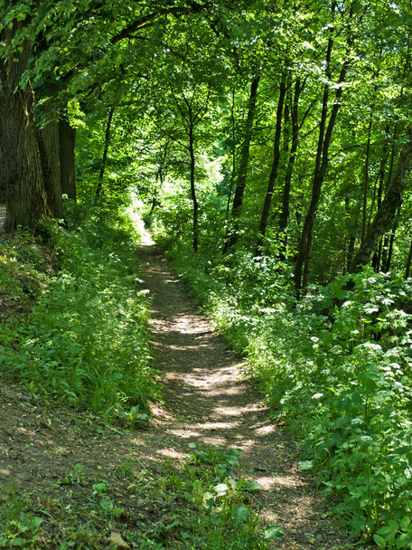 Path - Foto, afbeelding