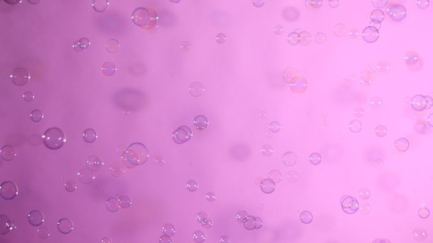 Bolhas de sabão azuis e claras em rosa, fundo
 - Filmagem, Vídeo
