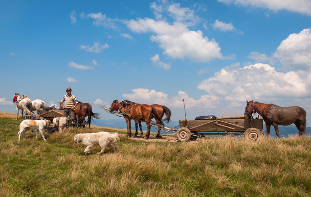 Tsigane itinérant camp avec cheval et chariot
 - Photo, image