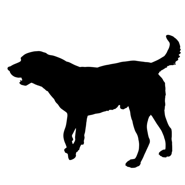 schwarze Silhouette eines Hundes. - Vektor, Bild