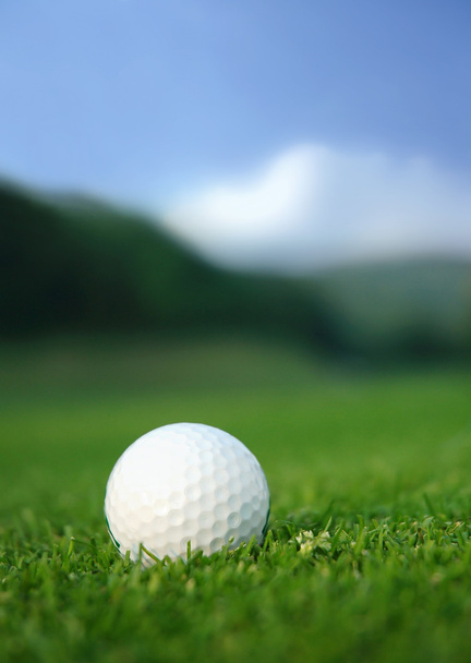 Golf course - Foto, Bild