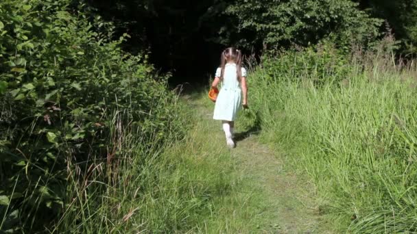 klein meisje gaat naar het bos - Video