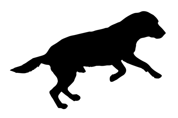 schwarze Silhouette eines Hundes. - Vektor, Bild