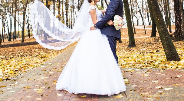 Wedding couple in park - Foto, afbeelding