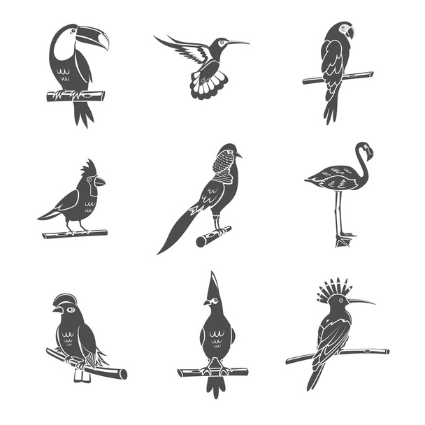 Set de iconos negro pájaro
 - Vector, imagen