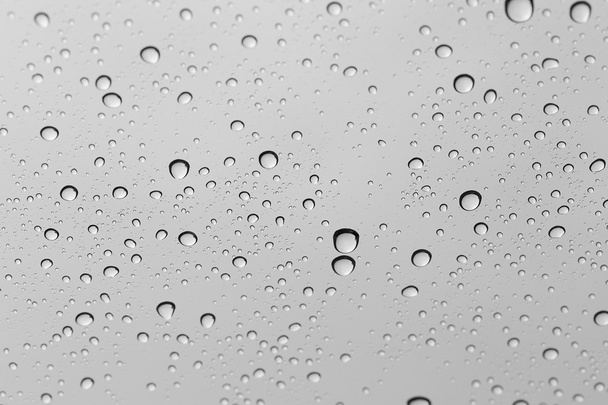 Water drop on glass mirror background. - Photo, Image