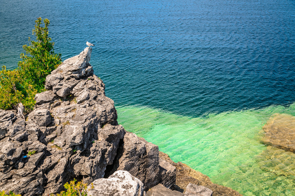скала с чайкой на вершине, над красивой спокойной лазурной водой озера Кипр на полуострове Брюс, Онтарио
 - Фото, изображение
