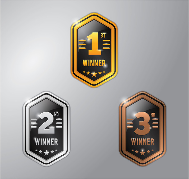gold, silver and bronze medal hexagonal badge - Vector, Image