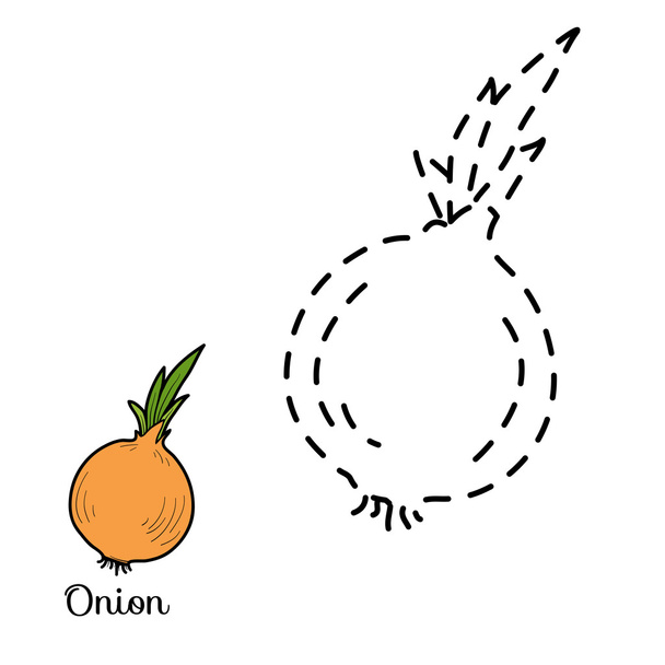 Connect the dots: fruits and vegetables (onion) - Vector, Image
