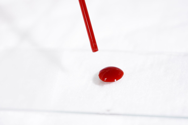 blood testing in laboratory - Photo, Image