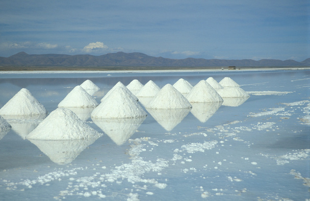 塩の湖 - 写真・画像