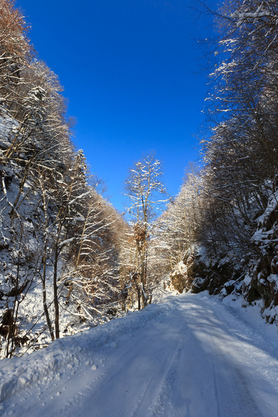 Camino rústico en invierno
 - Foto, Imagen