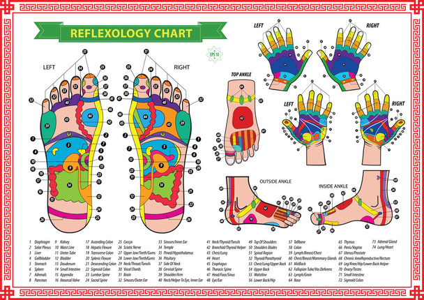 Foot and Hand reflexology chart - Vector, Image