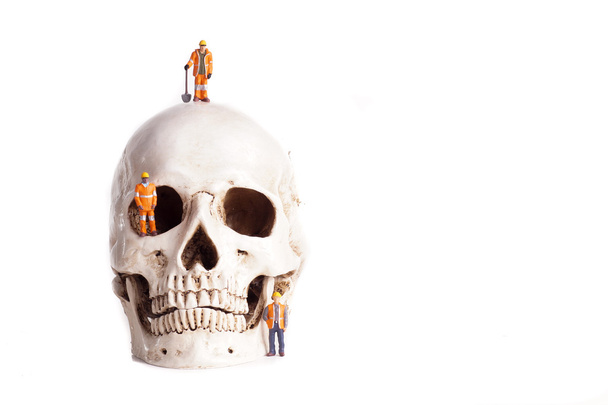 Skull and small workers - Photo, Image