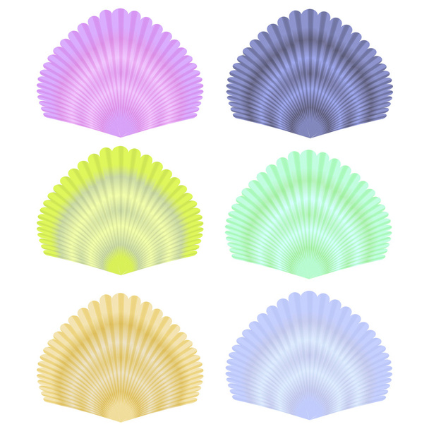 Seashell collectie - Vector, afbeelding