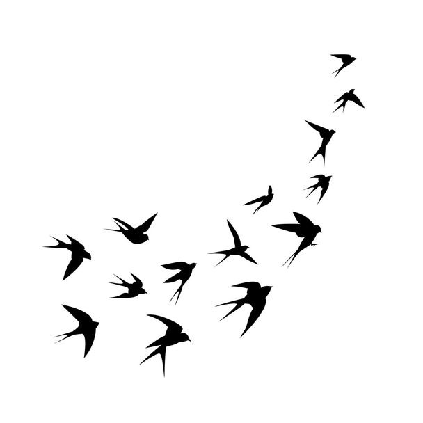 A flock of birds (swallows) go up. Black silhouette on a white background. - Vector, Image