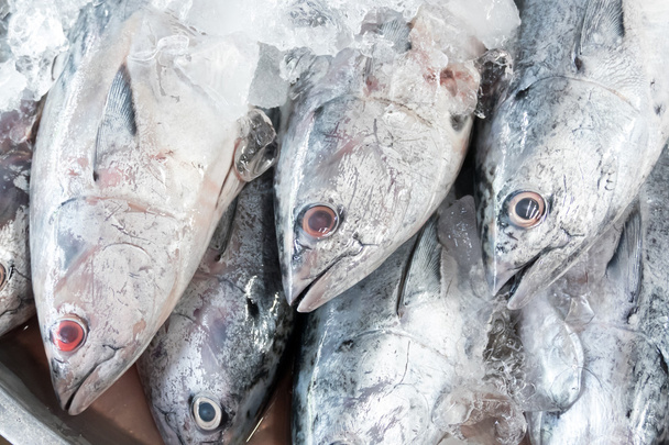 Thunfisch auf dem Markt - Foto, Bild