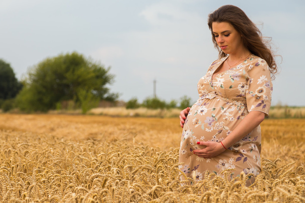Mulher grávida no campo de trigo
 - Foto, Imagem