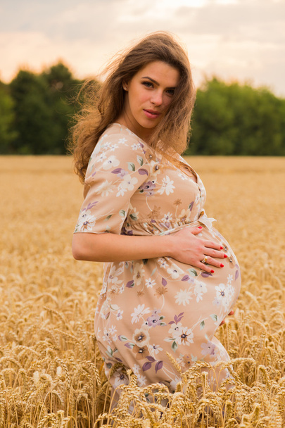 buğday alanında hamile kadın. - Fotoğraf, Görsel