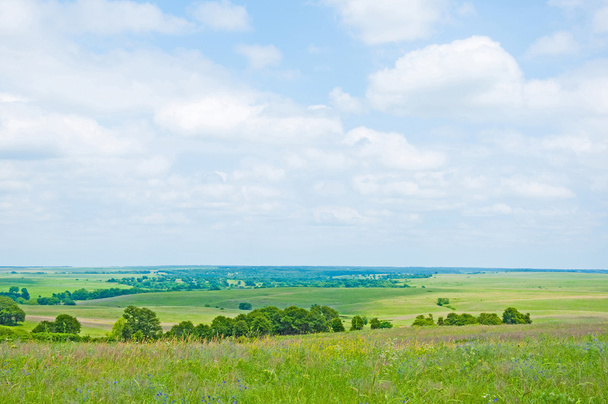 Wide Open Prairie in late spring - Foto, Bild