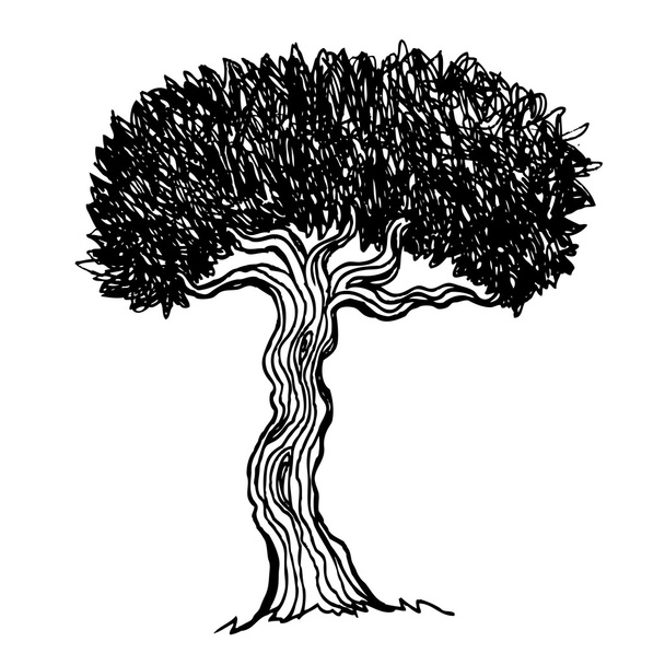 Vintage illustration of a tree - Vector, Image