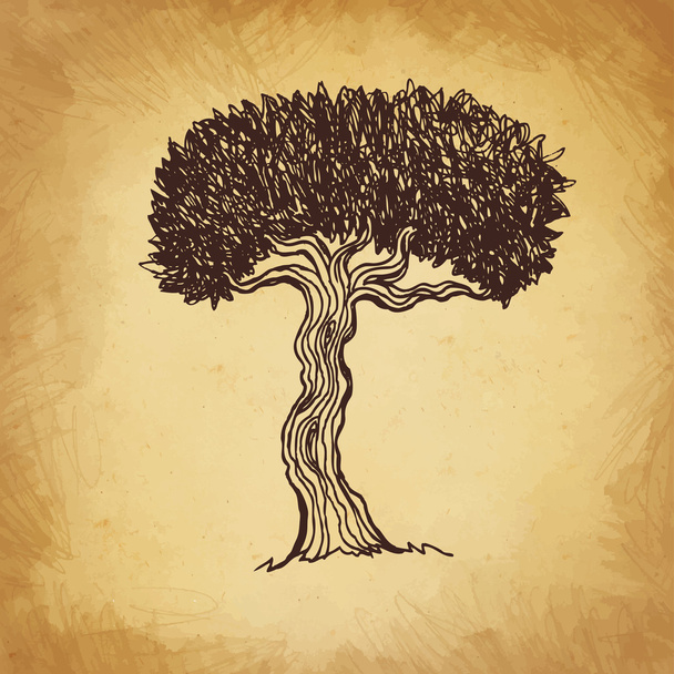 Vintage illustration of a tree - Vettoriali, immagini