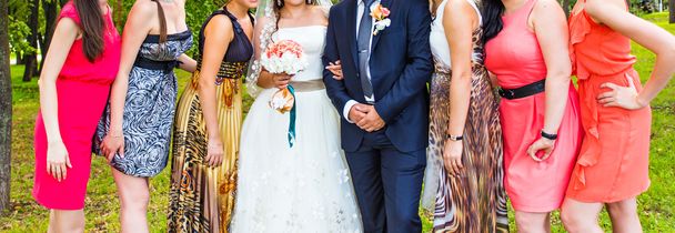 Bride With Bridesmaids  - Photo, Image