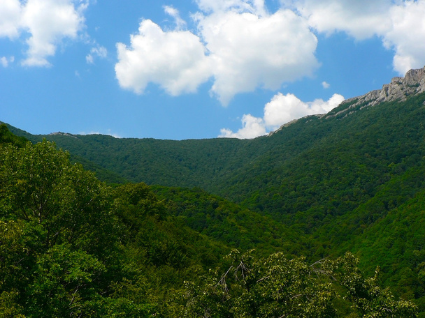 Lasów w górach i błękitne niebo pochmurne - Zdjęcie, obraz