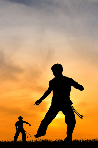 Capoeira at sunset - Фото, зображення