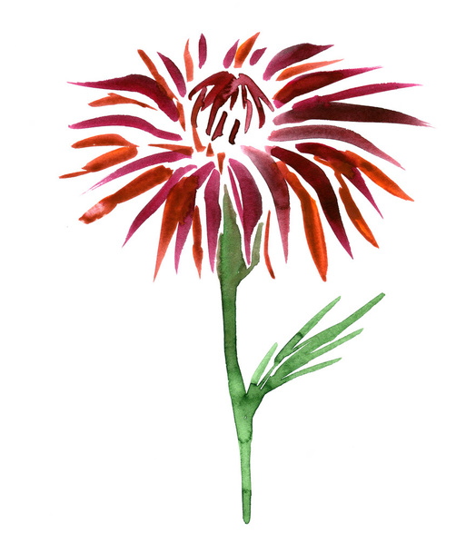 watercolor drawing flower - Fotó, kép