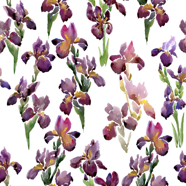 seamless pattern with irises - Photo, Image