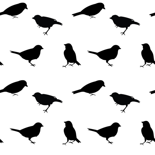 Black and white vector seamless pattern with birds - Vector, Image