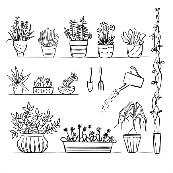 Pot plants and tools sketch - Vector, Image