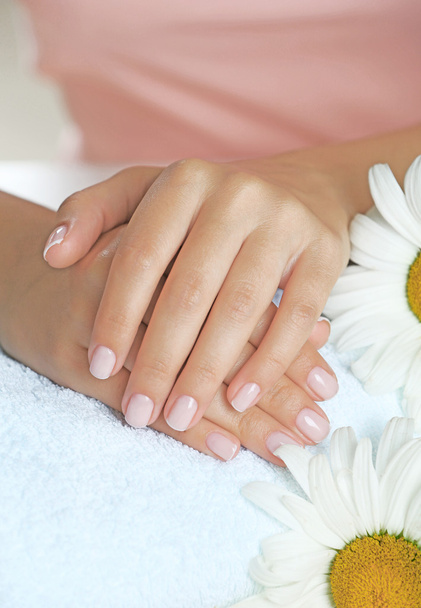 Vrouw handen met Frans manicure en Kamille op handdoek close-up - Foto, afbeelding