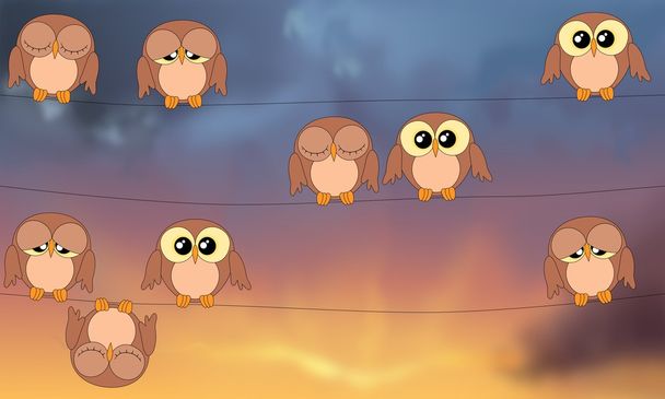 Owls sitting on power lines against stormy sky - Photo, Image