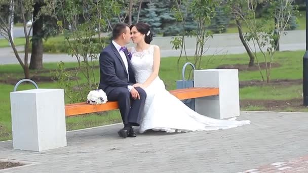 Sposo e sposo a piedi nel parco estivo
 - Filmati, video