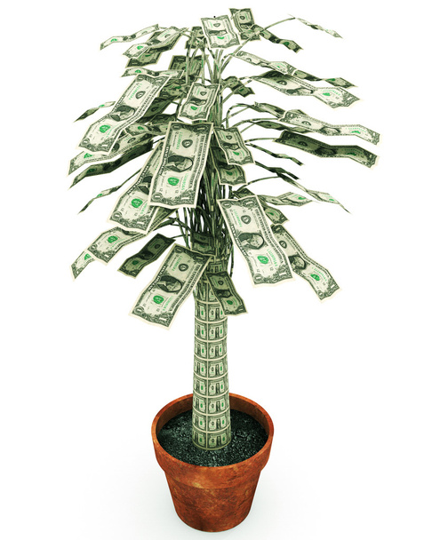 Árbol de dinero - Foto, Imagen