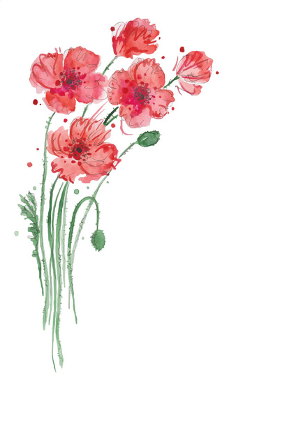Watercolor painting of red poppies, original style painting. Watercolor floral decorative element.Floral backgrond. - Vector, Imagen